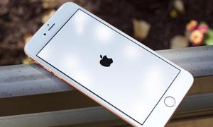 iPhone 7