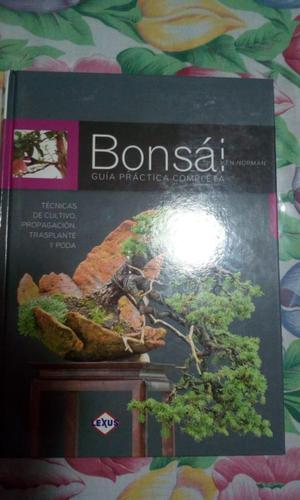 GUIA DEL BONSAI