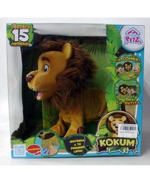 Club Petz León Kokum Nuevo