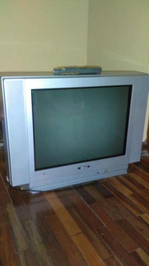 Vendo Televisor Hitech 21