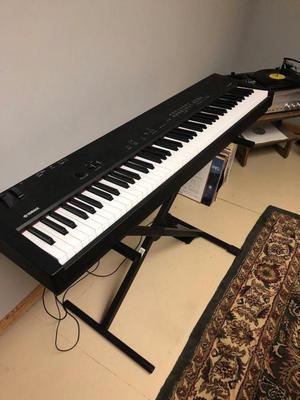 nuevo Korg PaKey