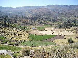 Chuquibamba terreno cultivo