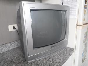 Televisor Panasonic Panablack 21 pulgadas