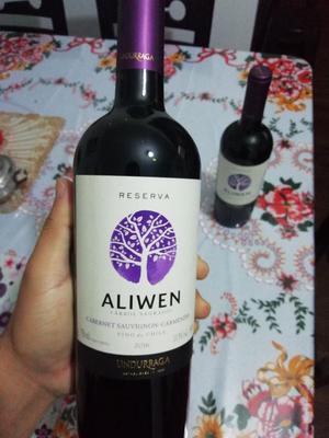 2 Vinos Tintos Aliwen