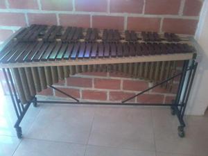 xilofono marimba semi concierto