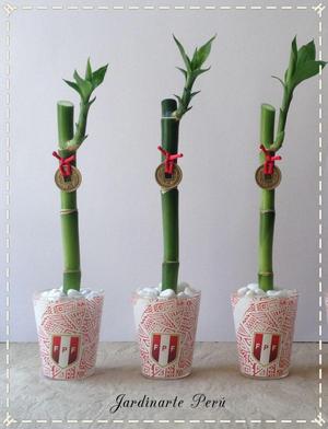 Bambú detalle mundialista, regalo para ese día epecial