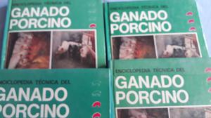 Libros Ganado Porcino 4 Tomos