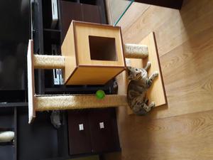 Casa para gatos