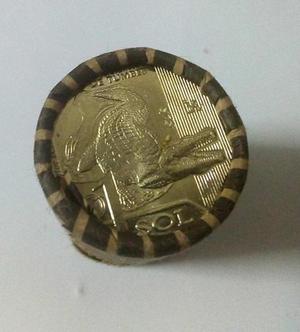 Moneda del cocodrilo