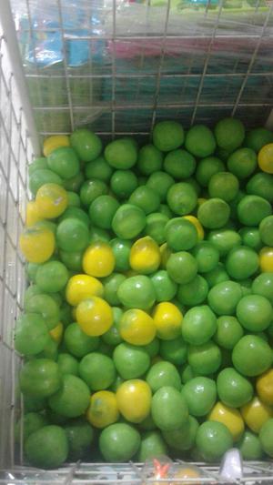 Limones de Plástico Frutas Decorativas Excelente acabado