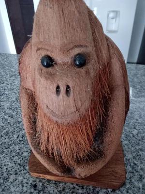 Remato Adorno Orangutan Hecho De Fruta, Coco,20cm De Alto