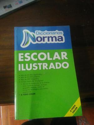 Diccionario Norma
