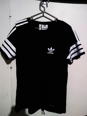 polo adidas