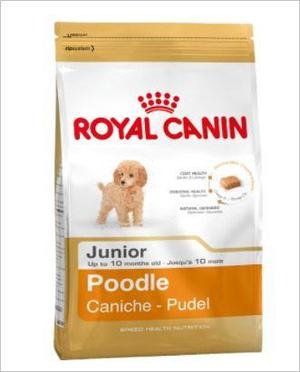 Royal Canin Bhn Poodle Junior 1/2 Kg