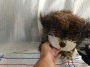 cambio o vendo Peluches The crood