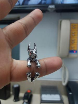 Anillo Doberman