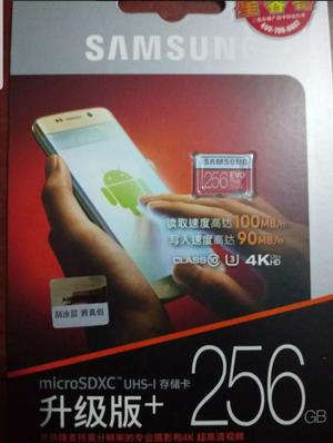 Micro Sd Samsung Evo Plus 256 Gb