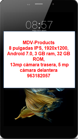 Tablet 8 pulgadas FHD 13Mpx