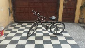 Bicicleta Goldus