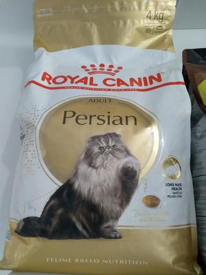 Royal Canin Gato Adulto Persa 4kg