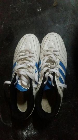 Chimpunws Adidas