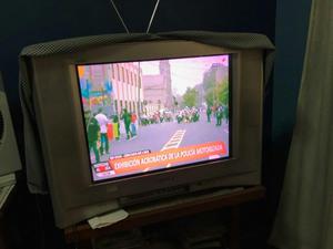 Televisor Sony Wega 21 Pulgadas