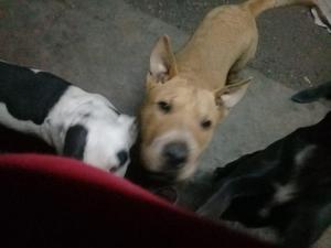 Venta