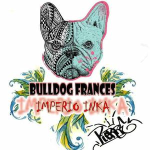 Bulldog Frances Servicio de Monta!!