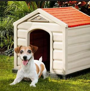 Casas para Perros Grandes Y Chico Remate