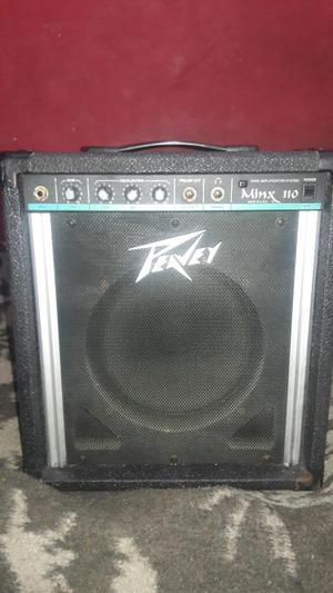 Peavey Made In Usa 