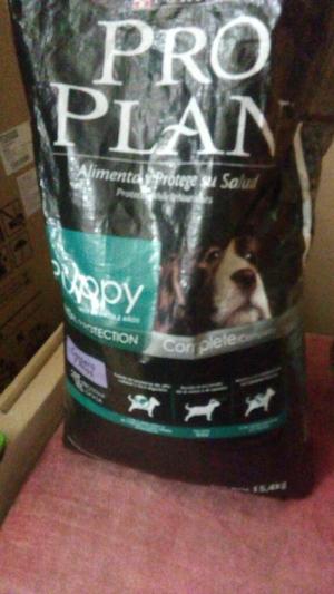 Proplan Puppy