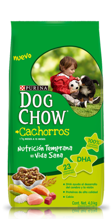 Dog Chow 21 kg