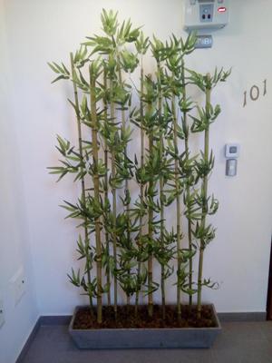 Plantas Artificiales Bambú Decoración