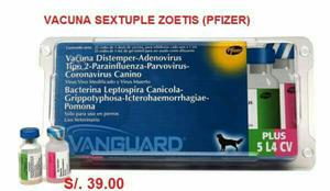 Vacuna Sextuple Zoetis Pfizer