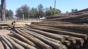 industria de la madera el cedro industrial srl