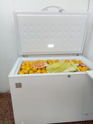 Congelador Electrolux 370 Litros