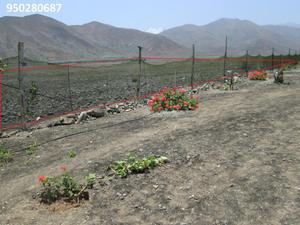 terreno  metros asia chilca mala pucusana san bartolo