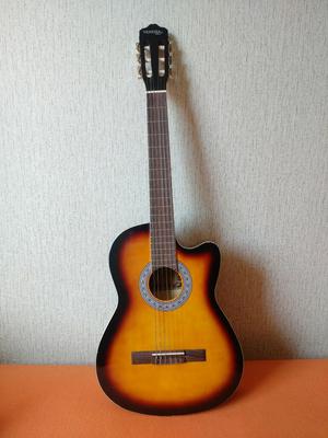 Guitarra Acústica Venezia Estuche