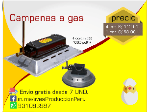 Campanas a gas