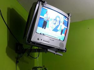 Televisor Panasonic de 29p con Control