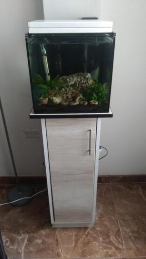 Acuario Conchicolas