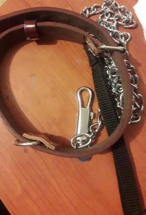 Collar Y Cadena para Perro