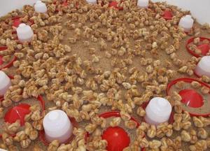 venta de gallinas ponedoras codornices