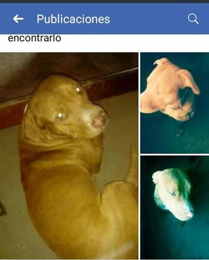 Perdido con medicameto