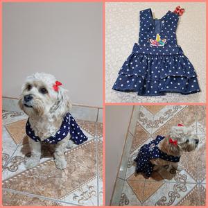 Vestido Jean para Perro O Gato