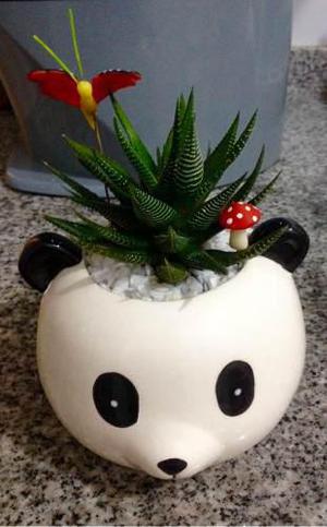 Macetero Decorativo Osito Panda - Decora Tu Oficina O Casa