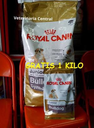 OFERTA Royal Canin Bulldog Junior Bolsa 12 Kg 1 Kg Gratis