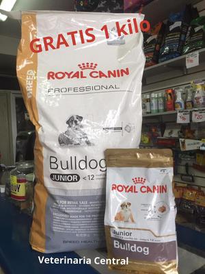 OFERTA Royal Canin Bulldog Junior Bolsa 17 Kg 1 Kg Gratis