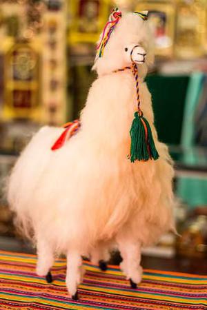 Llama De Apaca