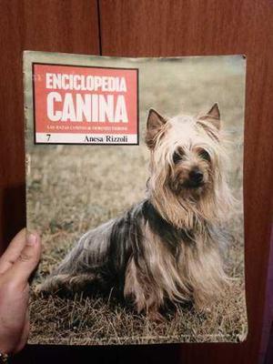 Yh Antigua Revista Enciclopedia Canina N°7 1973 Rizzoli Edi